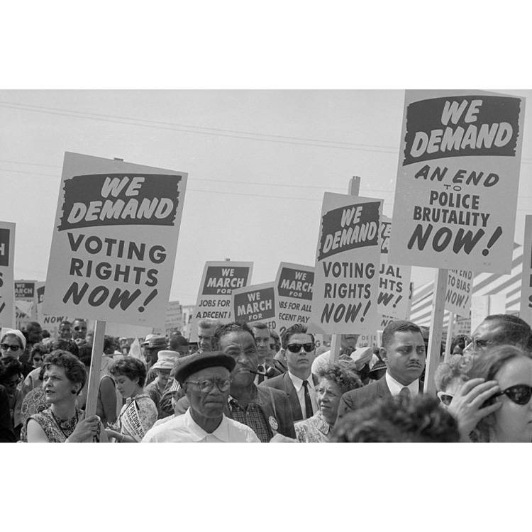 Vote in the 2020 Election