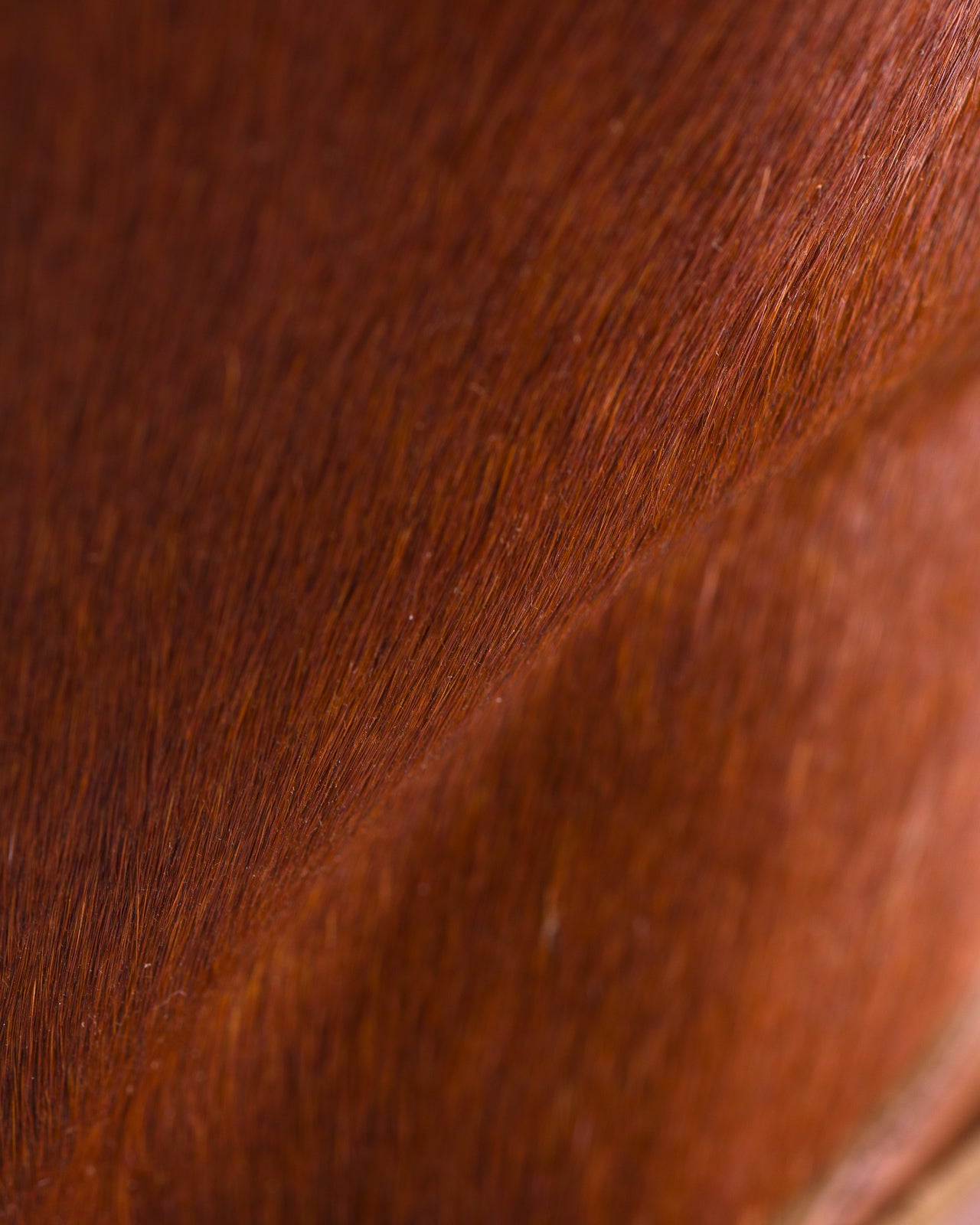 Attractions S&S x Attractions 444 Engineer Boot - Brown Horsehair - Standard & Strange