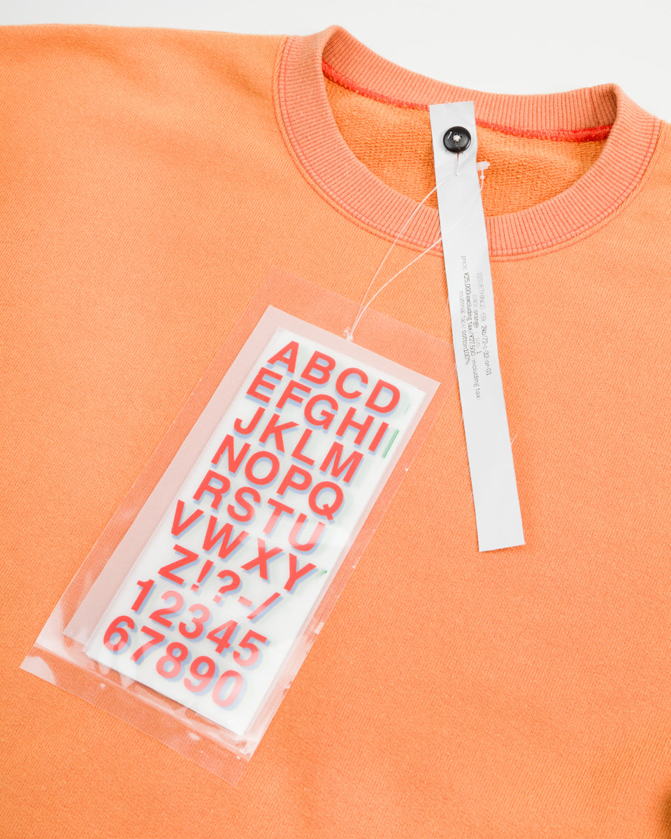 IssueThings Type 72 Sweatshirt - Orange - Standard & Strange