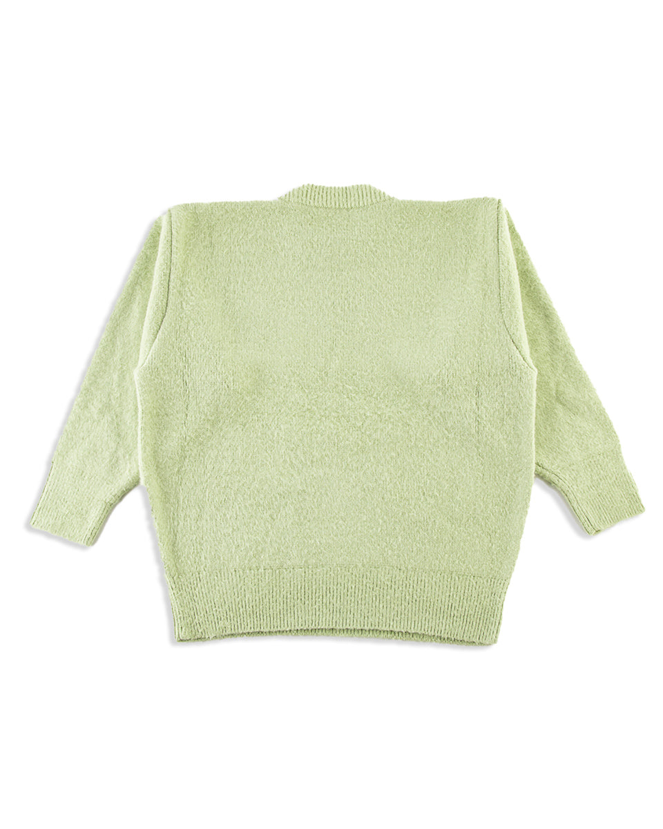 Olde Homesteader & Daughter Silk Shaggy Dog Pullover - Pistachio - Standard & Strange