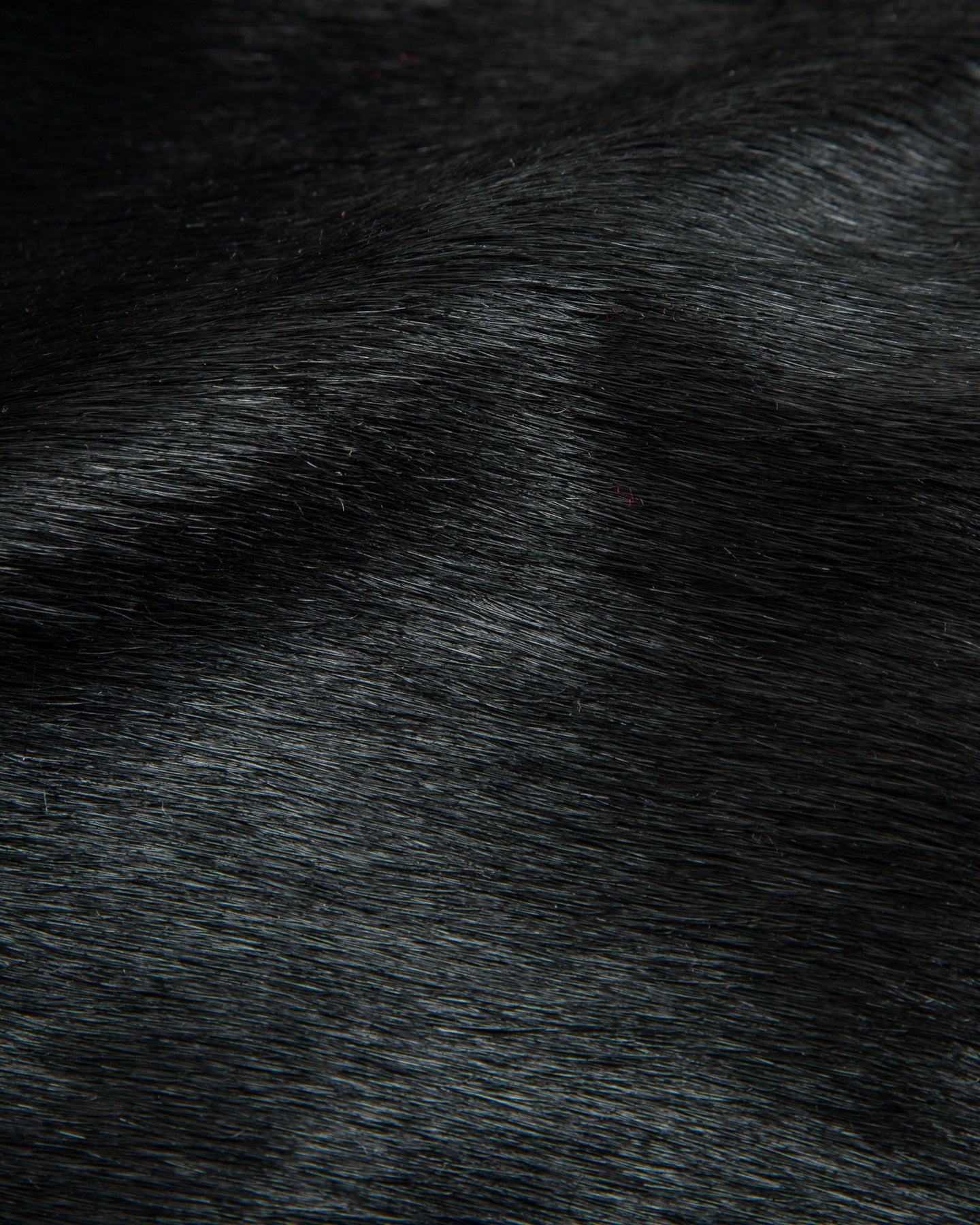 Black Sign 1930s Howard Jacket - Silky Black - Standard & Strange