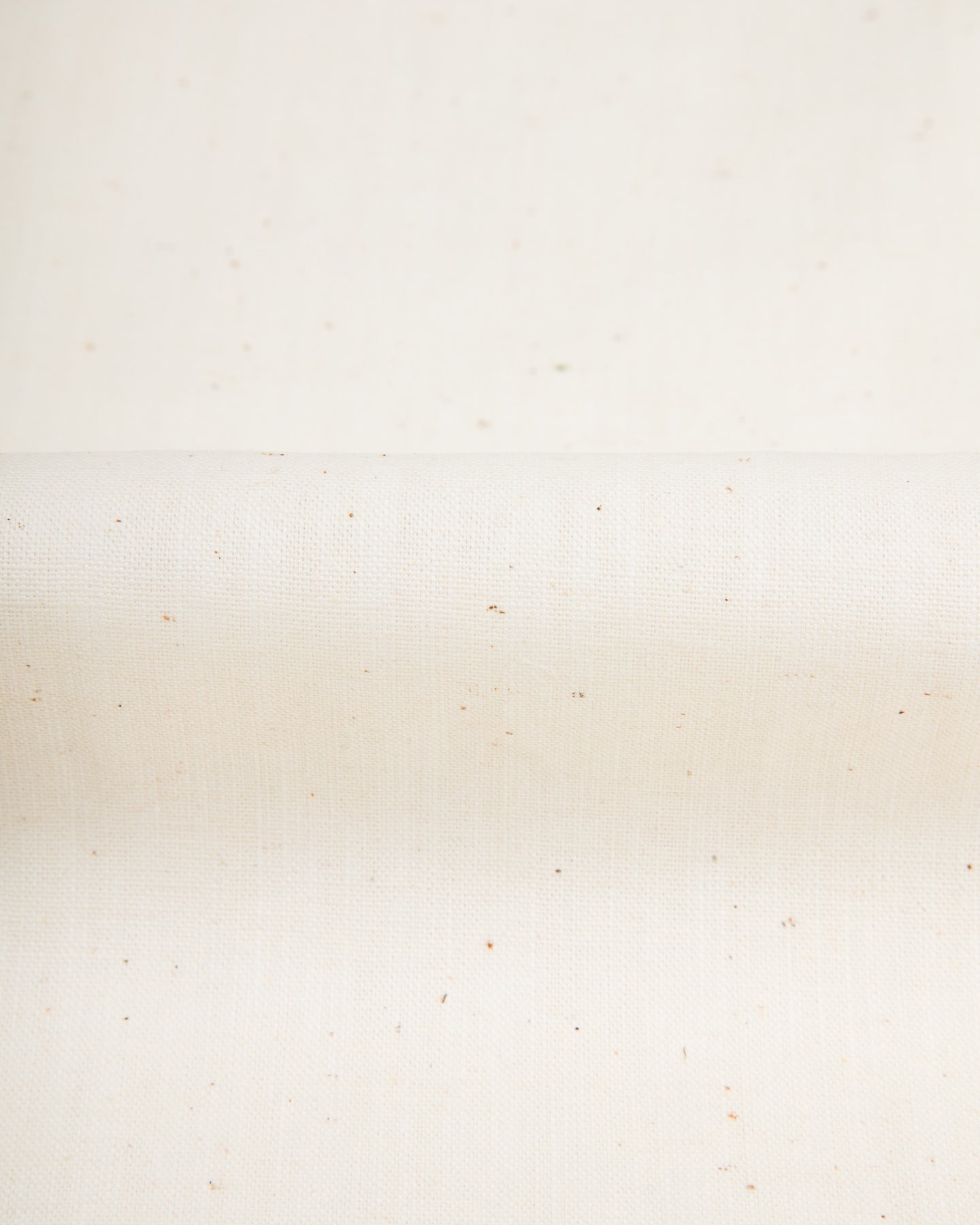 John Gluckow BB Round Collar Oxford - Ecru - Standard & Strange