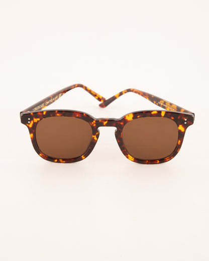 Lowercase Eyewear Astor Sunglass - Sunspot - Standard & Strange