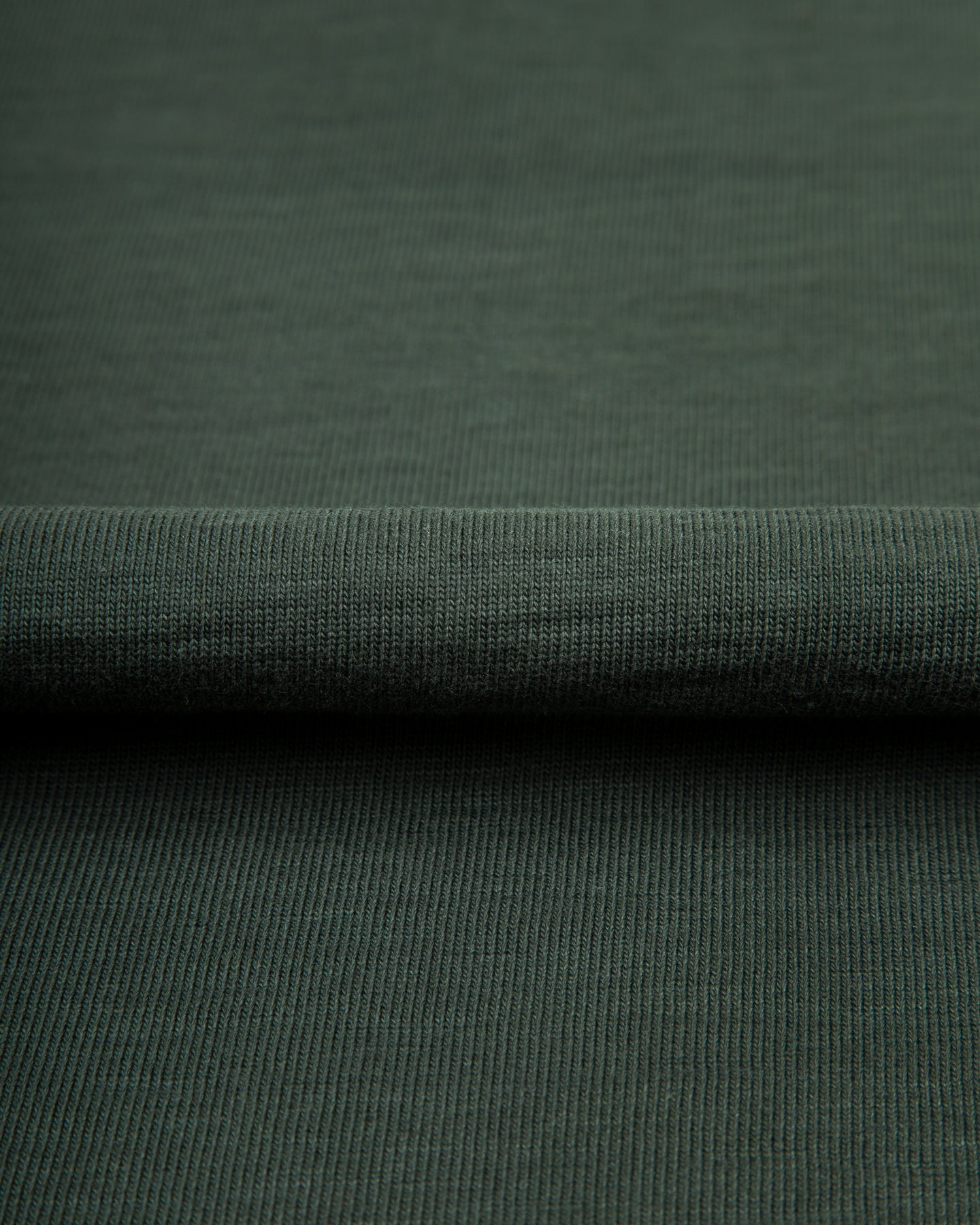 Merz b. Schwanen 2S14 Loopwheeled 10.7oz Heavyweight Tee - Forest - Standard & Strange