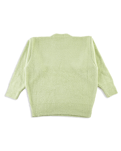 Olde Homesteader & Daughter Silk Shaggy Dog Pullover - Pistachio - Standard & Strange