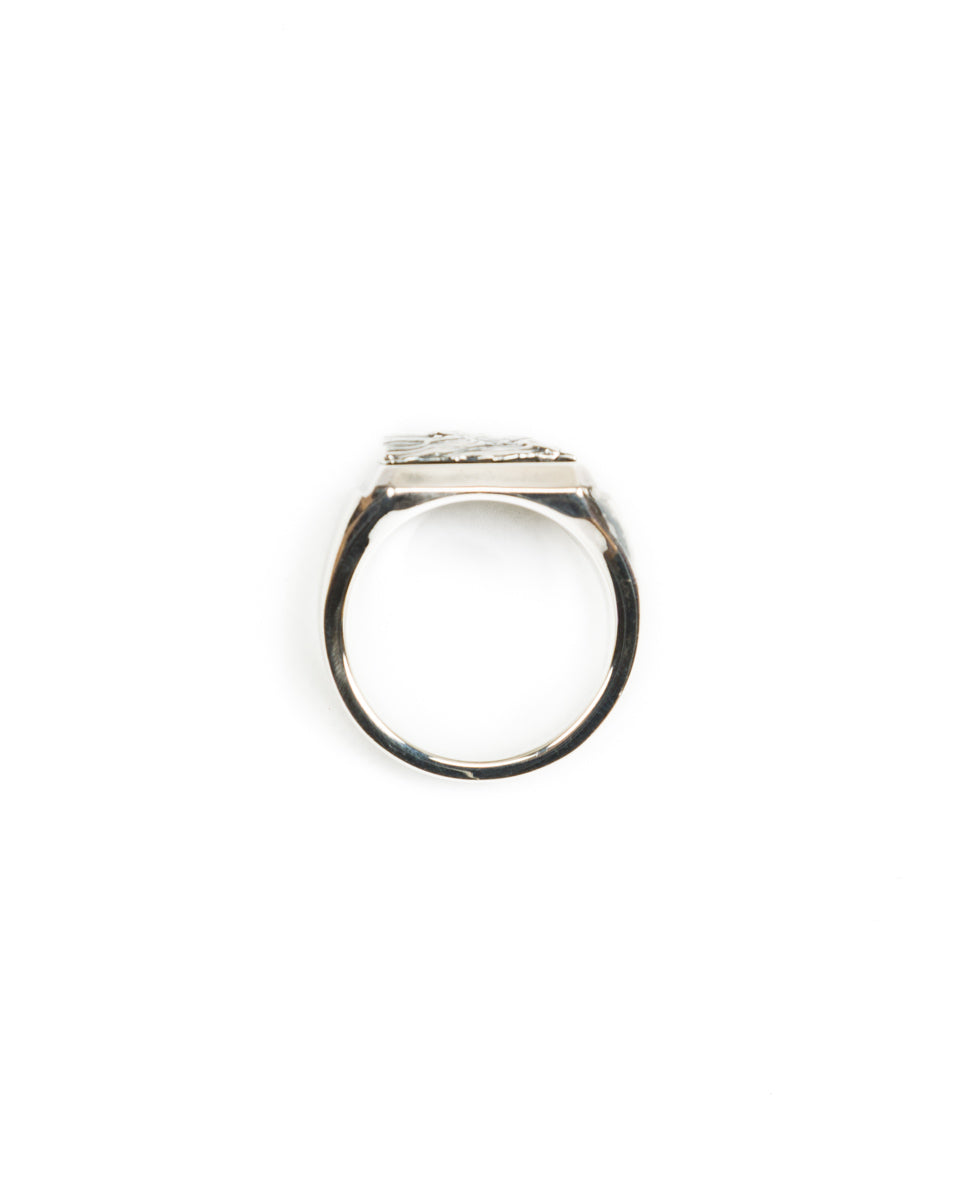 Peanuts & Co Pharaoh's Horse Ring - Square - Silver – Standard
