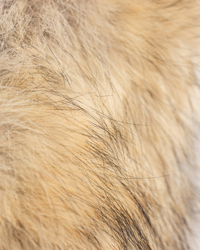 The Real McCoy's Type N-3A Real McCoy MFG. CO. - Navy - Standard & Strange