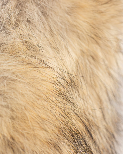 The Real McCoy's Type N-3A Real McCoy MFG. CO. - Navy - Standard & Strange