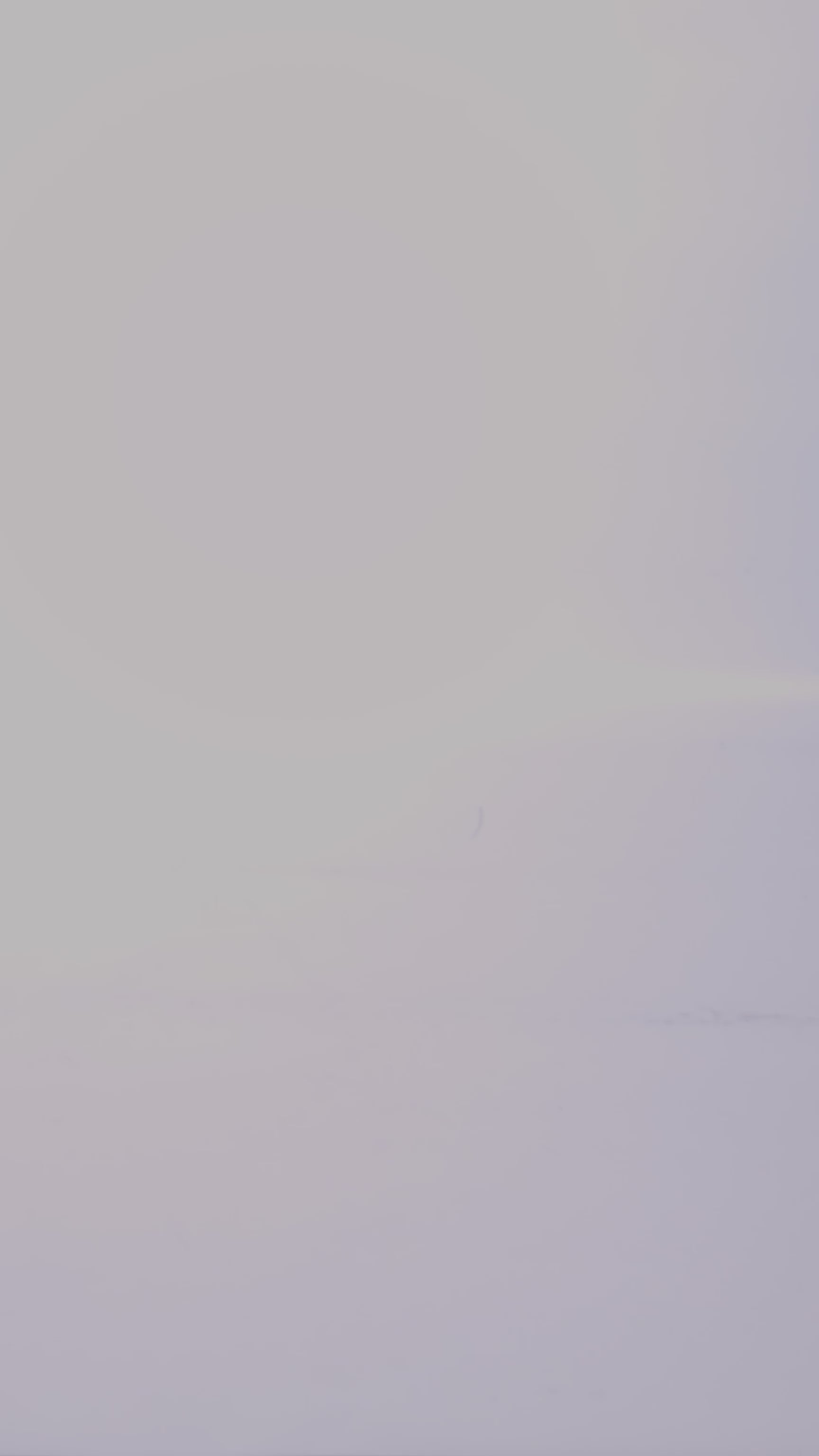 Arch Support Project Alpine Hiker Boot - Mahogany Roughout - Standard & Strange