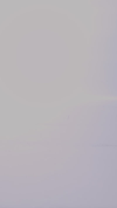 Arch Support Project Alpine Hiker Boot - Mahogany Roughout - Standard & Strange