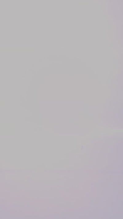 Arch Support Project Cestus Boot - Mahogany Roughout - Standard & Strange