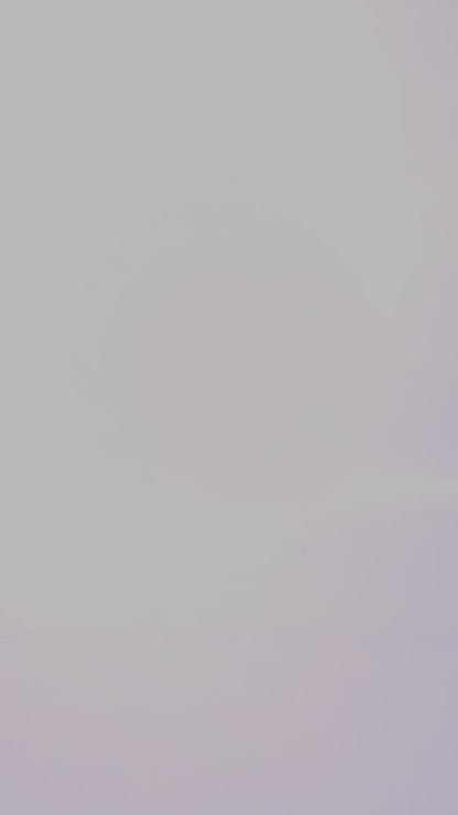 Arch Support Project Cestus Boot - Mahogany Roughout - Standard & Strange